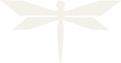 Newsletter Icon